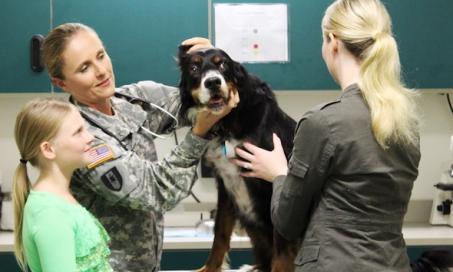 陆军兽医:保持军犬健康的使命