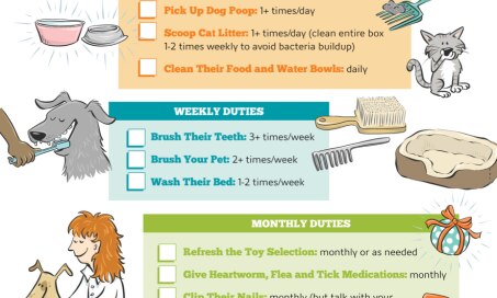 Pet Care Checklist for Responsible Pet Parents