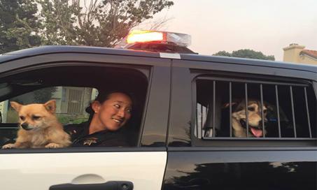 Vacaville Police Rescue 60 Shelter Animals Before Nelson Fire Strikes