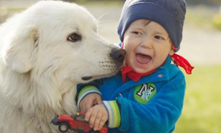 What to Do When Your Child is Afraid of Dogs