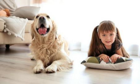 儿童和狗:按年龄划分的责任