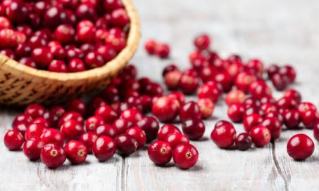 Healthy Foods Checklist: Cranberry for Dogs