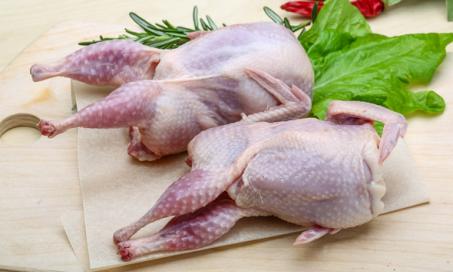 Healthy Foods Checklist: Quail for Dogs