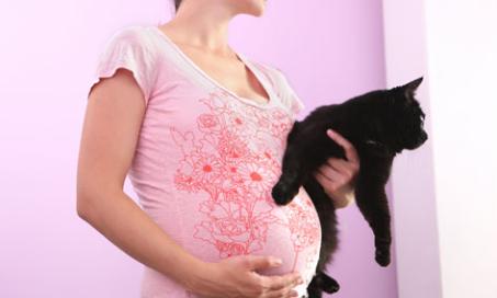 Pregnancy and Cat Litter, Feces