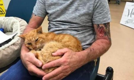 Cat and Owner Reunited After a Hurricane Separated Them 14 Years Ago