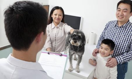 10 Questions Everyone Should Ask Their Veterinarian