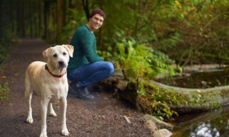 Does Your Dog Need a Lyme Vaccine?