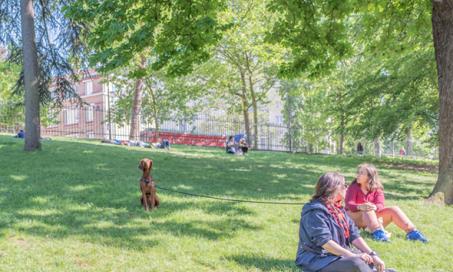 Paris Finally Allowing Dogs Into Their Public Parks