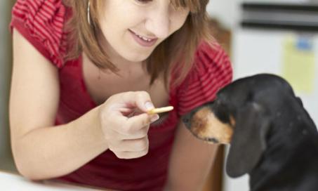 Healthy Ways to Treat Your Dog
