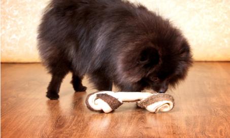 FDA Warns Against Giving Dogs Bones and Bone Treats