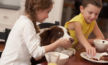 Why Dogs Should NOT Eat ‘People Food’