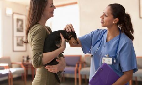 8 Things People Don’t Realize About Being a Veterinarian