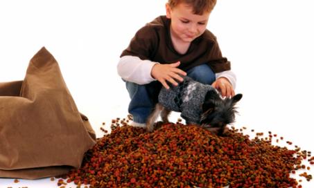 Invisible Dangers in Your Pet’s Food Bowl