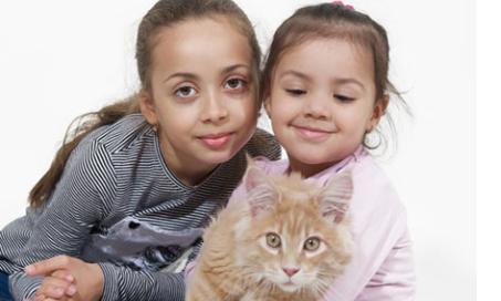 缅因猫和孩子:一个伟大的组合
