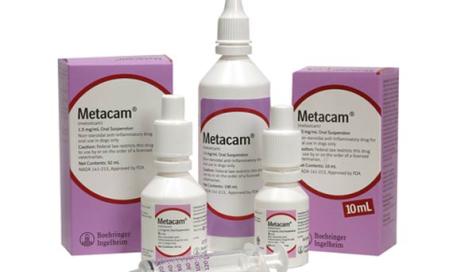 Revisiting Meloxicam Use in Cats