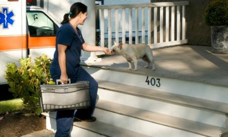 Mobile Vet Clinics: What Are They?