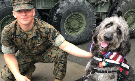 Therapy Dogs at Hudson Valley Paws for a Cause Offer Stress Relief for the Military and Their Families