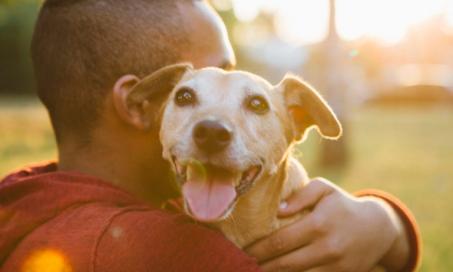 The Link Between Pets and Human Health