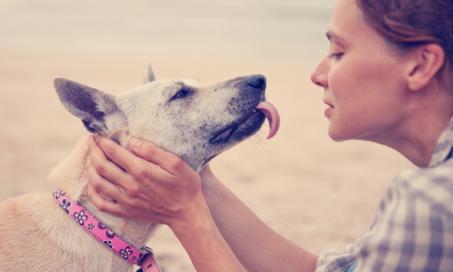 Why Losing a Dog Can Be Harder Than Losing a Relative