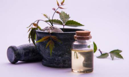 Neem Oil for Pets: Is It Safe?