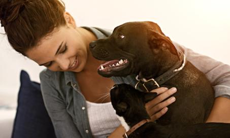 Differentiating Between Pet Parents and Pet Owners