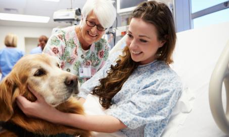 Pet Visits in Hospitals: What Are the Risks?