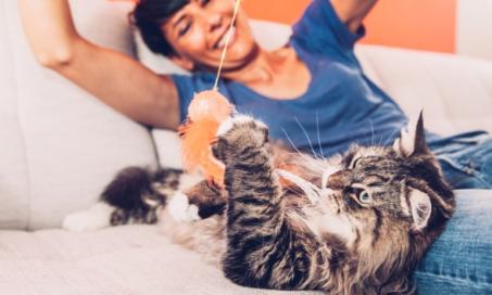 5 Cat Toy Alternatives to Dangerous Things Your Cat Wants to Play With
