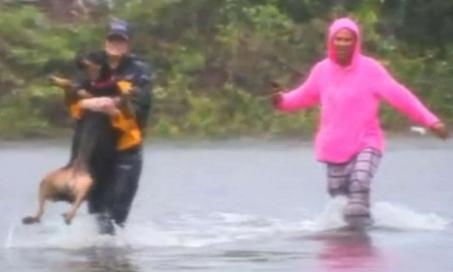 Reporter Stops Live Stream to Save Therapy Dog From Flooding