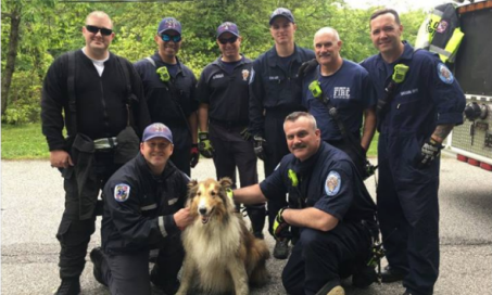 Firefighters Rescue Dog From 6-Foot Sinkhole