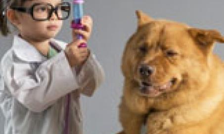 Would You Trust Your Pet to a Veterinary Student?