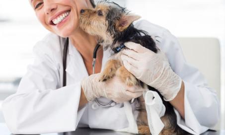 The Hardest Parts About Being a Veterinarian - and the Best Parts