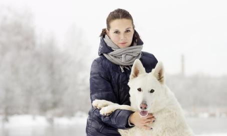 寒冷天气影响你的狗的7种方式
