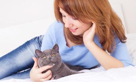 Safety Tips for Using Heartworm Preventive Medications on Cats