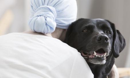 How Therapy Dogs Can Improve the Emotional Health of Hospital Patients