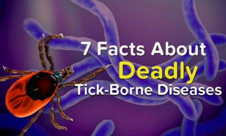 7 Facts About Deadly Tick-Borne Diseases
