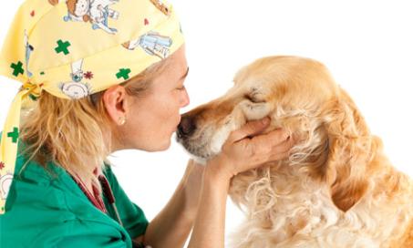 5 Senior Dog Diseases You Need to Know