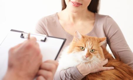 Why is Pet Health Care So Expensive?