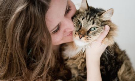 Health Benefits Of Living With a Cat