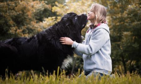 如何让大型犬在每个生命阶段都保持健康