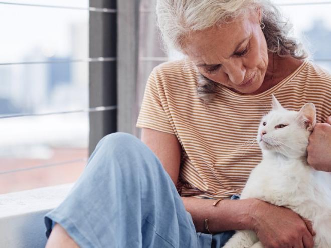 senior woman with white hair petting white cat on a bed