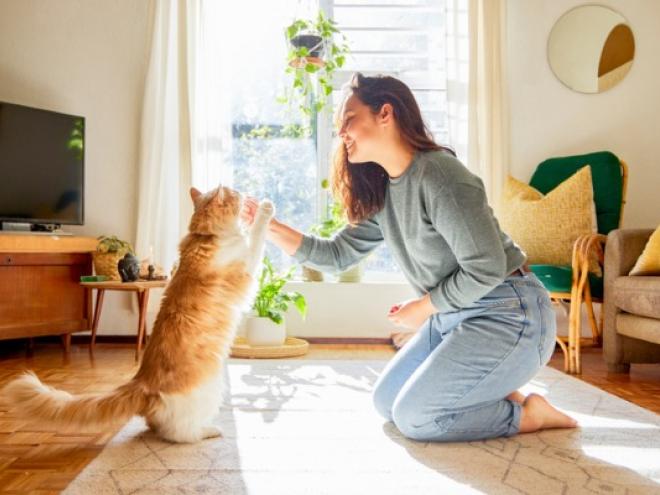 一名妇女正在给猫喂橙色和白色的食物
