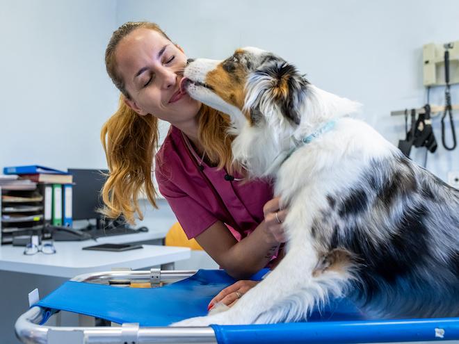 doggo kissing vet on exam table