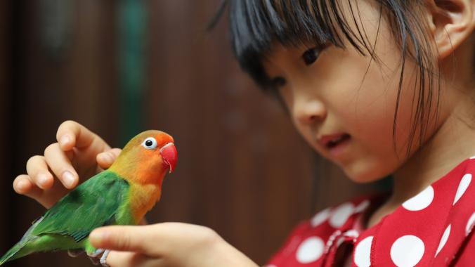 Girl holding pet bird