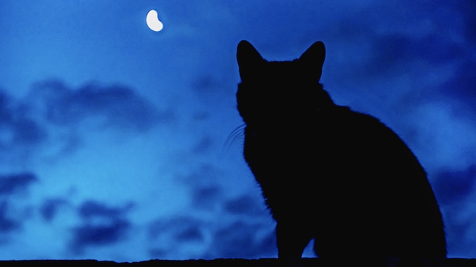 Cat silhouette against moon in background