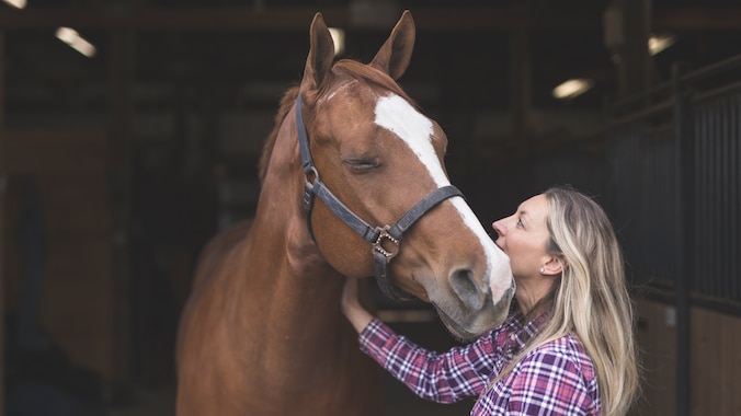 Horse cuddling with human companion