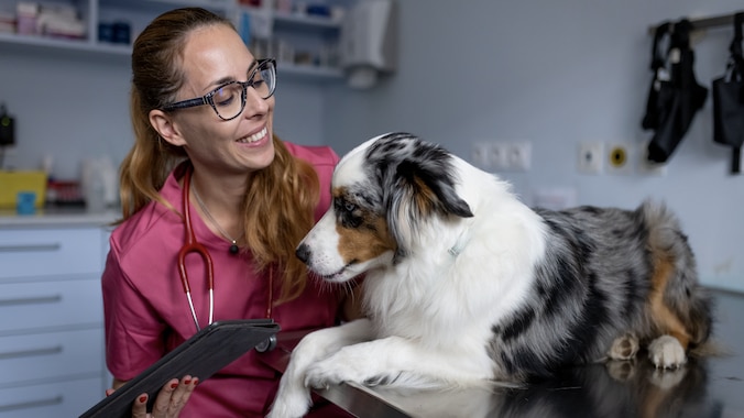 Vet tech sits with Aussie dog at the vet