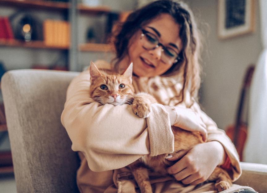 Should You Hug Cats? PetMD