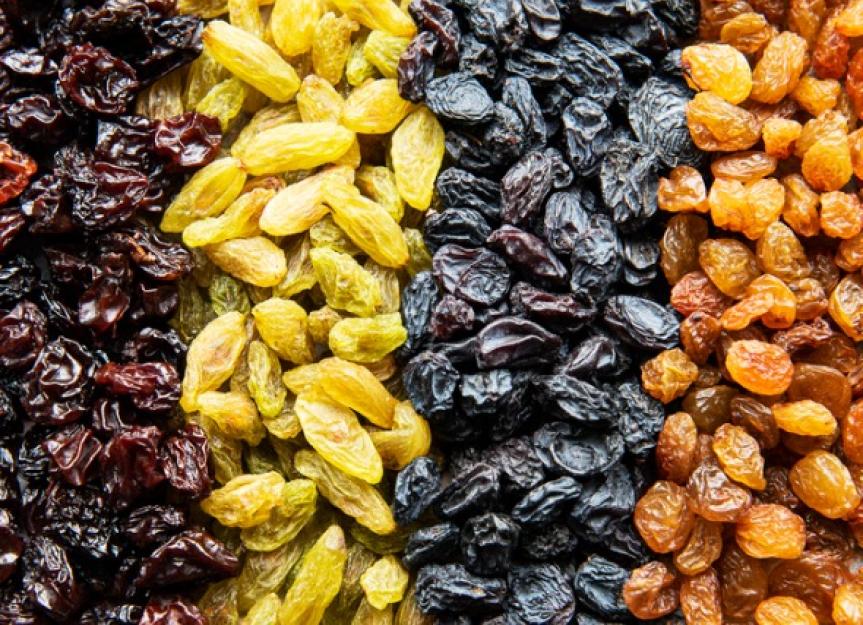 can-dogs-eat-raisins-petmd