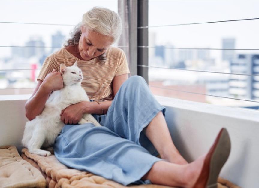 Cat Skin Lumps, Bumps, and Cysts PetMD