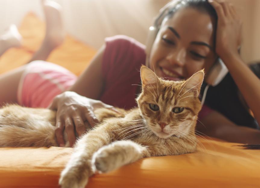 在猫身上使用天然跳蚤和蜱虫产品前需要知道的6件事